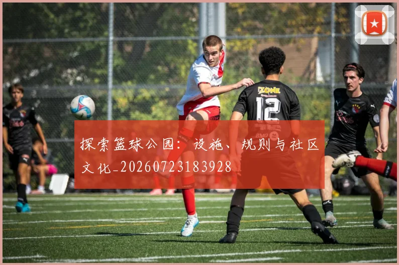 探索篮球公园:设施、规则与社区文化_20260723183928