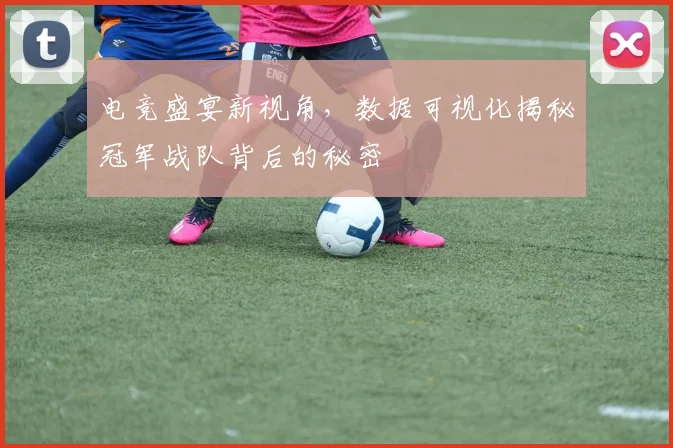 电竞盛宴新视角，数据可视化揭秘冠军战队背后的秘密